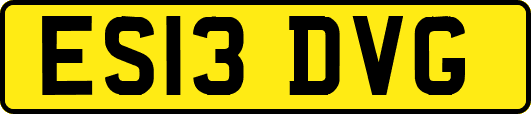 ES13DVG