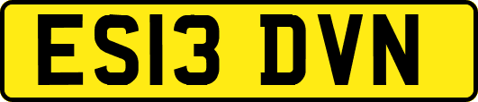 ES13DVN