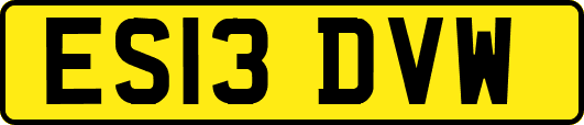 ES13DVW