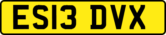 ES13DVX