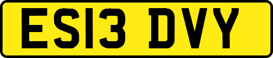 ES13DVY