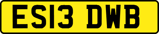 ES13DWB