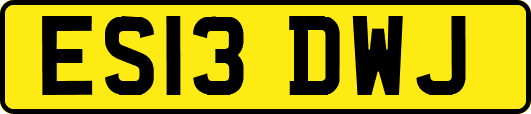 ES13DWJ