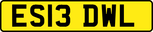 ES13DWL
