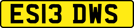 ES13DWS
