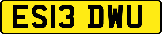 ES13DWU