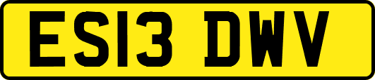 ES13DWV