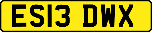 ES13DWX
