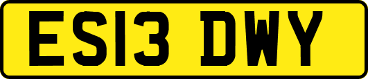 ES13DWY