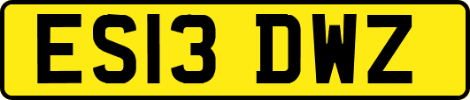 ES13DWZ