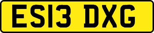 ES13DXG