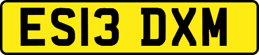 ES13DXM
