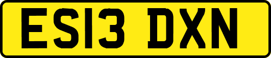ES13DXN