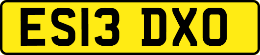 ES13DXO