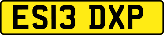 ES13DXP