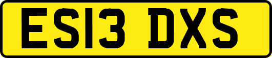 ES13DXS