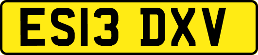 ES13DXV
