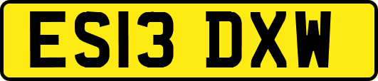 ES13DXW