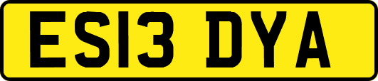 ES13DYA