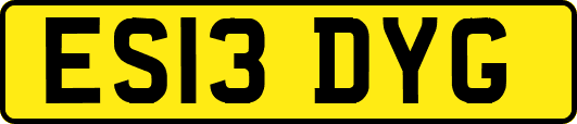 ES13DYG