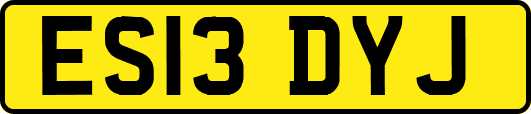 ES13DYJ