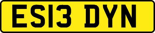 ES13DYN
