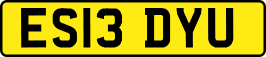 ES13DYU
