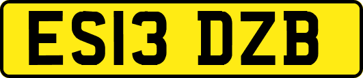ES13DZB