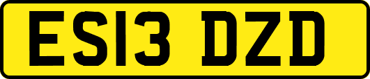 ES13DZD