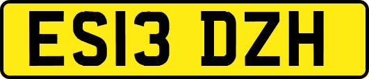 ES13DZH