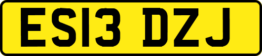ES13DZJ