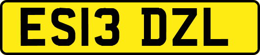 ES13DZL