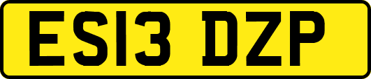 ES13DZP