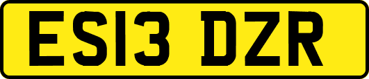 ES13DZR