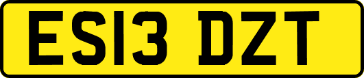 ES13DZT