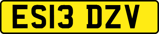 ES13DZV