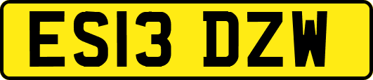 ES13DZW
