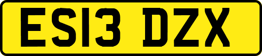 ES13DZX