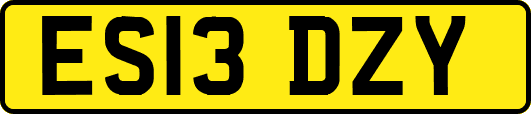 ES13DZY