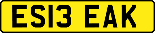 ES13EAK