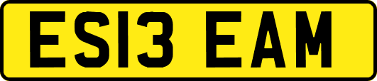 ES13EAM