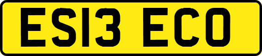 ES13ECO