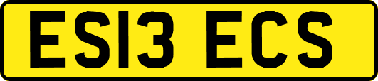 ES13ECS