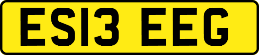 ES13EEG