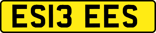 ES13EES