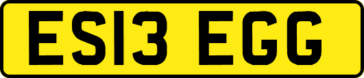 ES13EGG