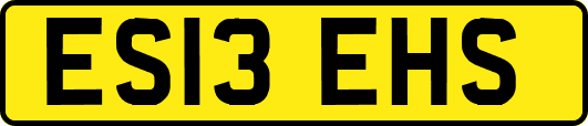 ES13EHS