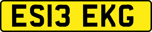 ES13EKG