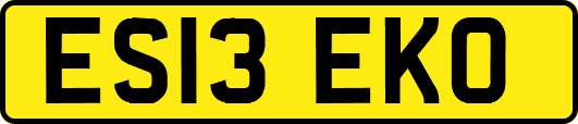 ES13EKO