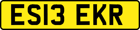 ES13EKR